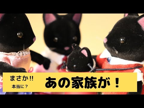 【開封】ほしぞらネコファミリー☆シルバニア初の黒猫一家！新発売【Sylvanian Families】