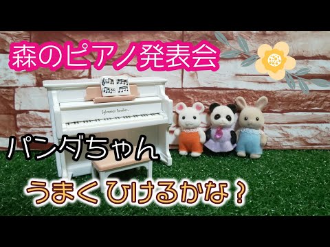 【シルバニアファミリー】森のピアノ発表会♪ パンダちゃん ミルクうさぎちゃん マシュマロねずみちゃん うまく弾けるかな？ おもちゃ ままごと　女の子