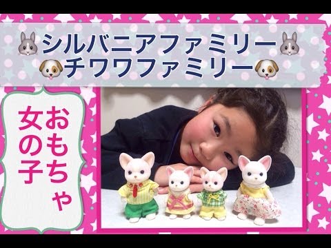 【ｼﾙﾊﾞﾆｱﾌｧﾐﾘｰ】新商品　チワワファミリー　紹介 sylvanian families☆Toys our fun cute girl